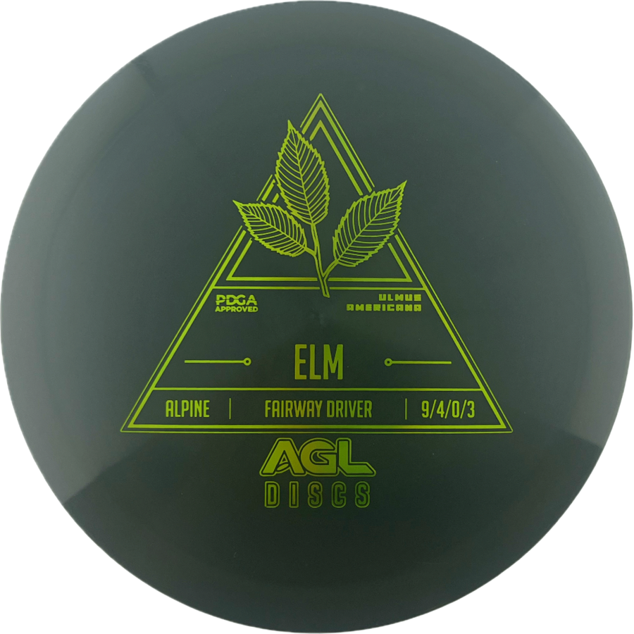 Above Ground Level Elm