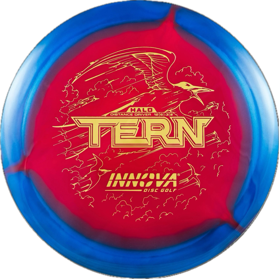 Innova Tern